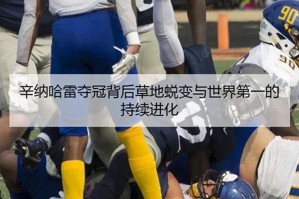 辛纳哈雷夺冠背后草地蜕变与世界第一的持续进化